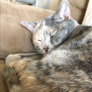 Meet your Posher, Ellen